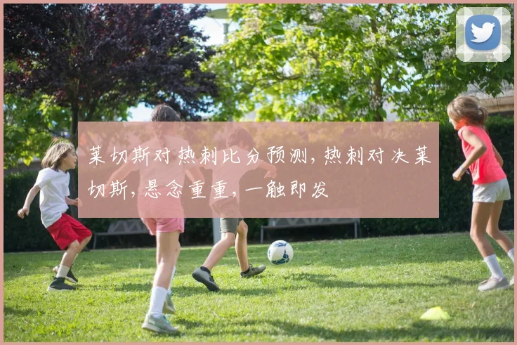 莱切斯对热刺比分预测,热刺对决莱切斯,悬念重重,一触即发