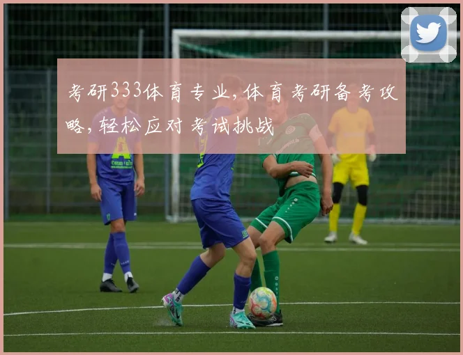 考研333体育专业,体育考研备考攻略,轻松应对考试挑战